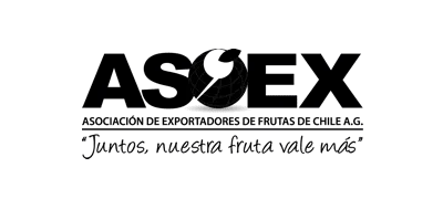 logo asoex